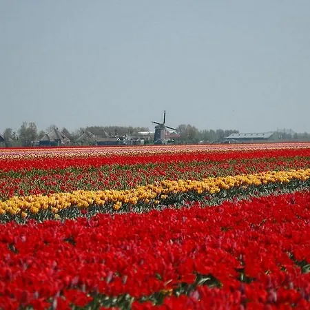 度假居 Park De Horn 107 Dirkshorn